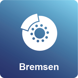 bremsen-check-service