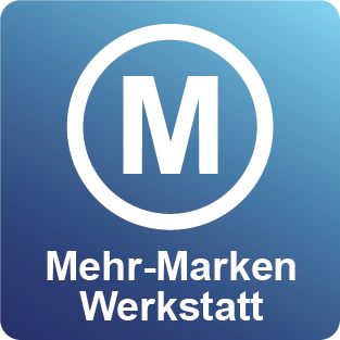mehrmarken-werkstatt-kfz-service-und-reparaturen-markenunabhaengig